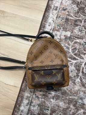 Louis Vuitton reverse Palm Springs mini backpack